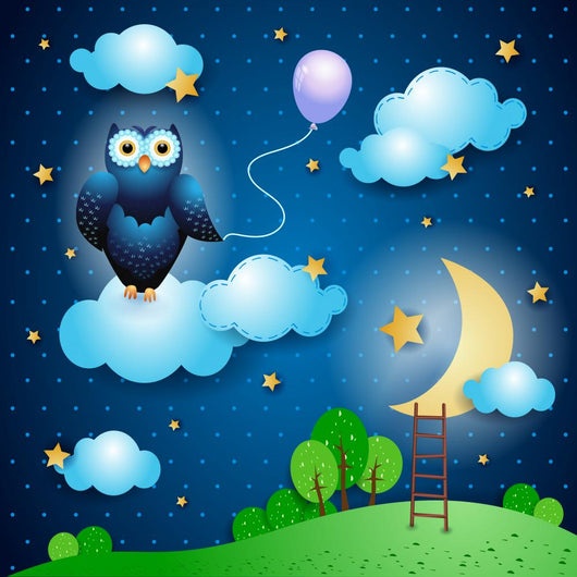 Fantasy landscape with owl Wall Mural