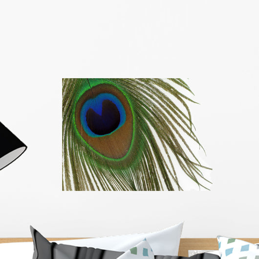 Peacock Eye Feather Wall Mural
