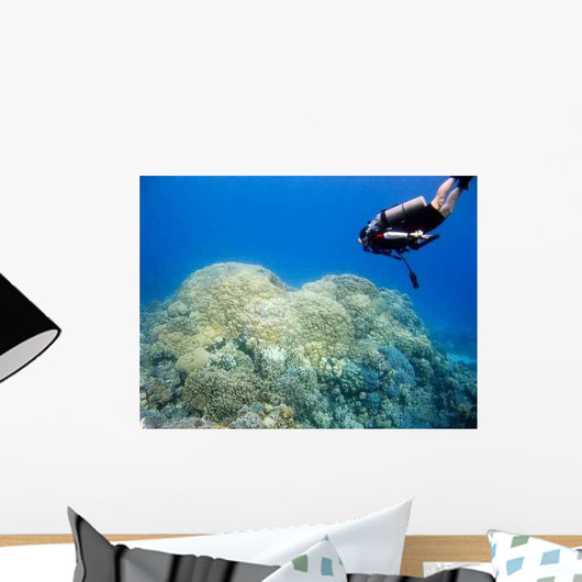 Diver over Coral Reef Wall Decal