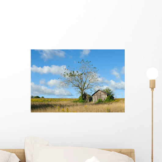 Tranquil Rural Landscape