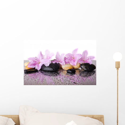 Pink Flowers and Black