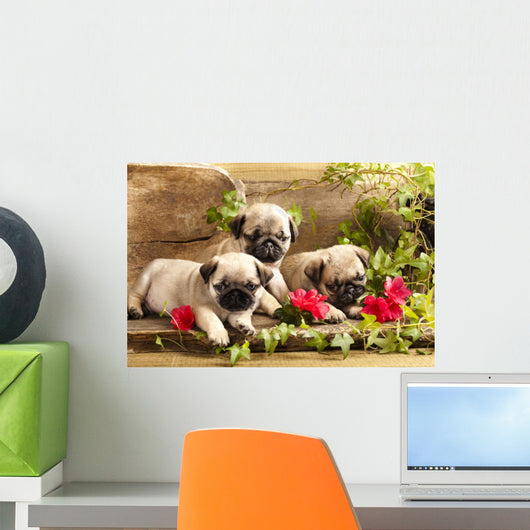 Pug Puppies and Flowers in Retro Backgraun Wall Mural