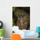 Uhu Eurasian Eagle-owl Bubo