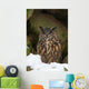 Uhu Eurasian Eagle-owl Bubo