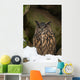 Uhu Eurasian Eagle-owl Bubo