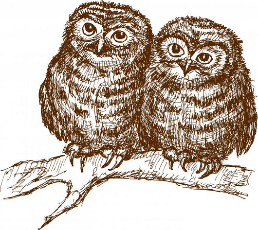 Owls Branch Wall Decal