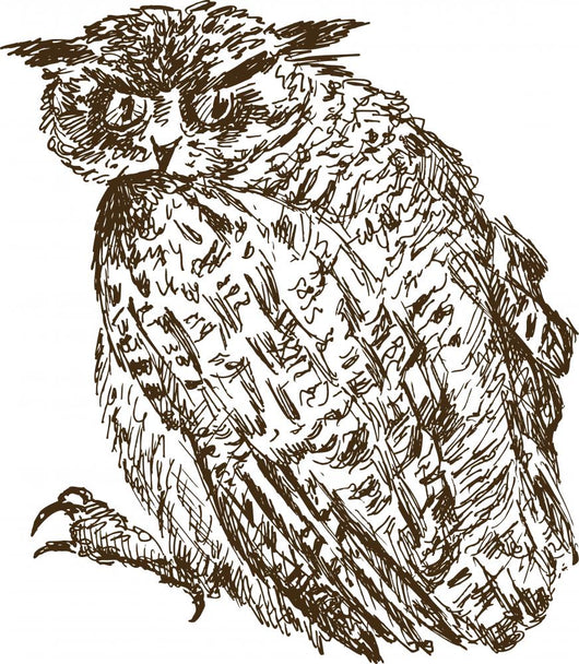 Owl Line Art Wall Decal