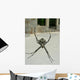 Spinne