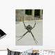 Spinne