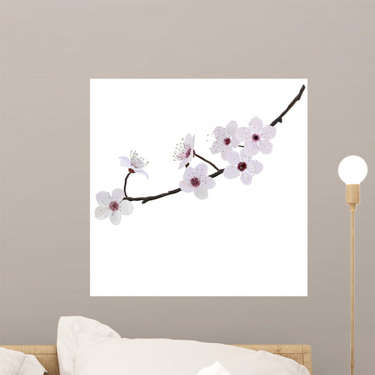 Branch With Flowers of Almond Wall Decal