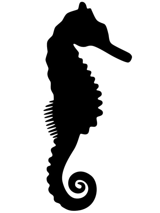 Black Silhouette Sea Horse Wall Decal