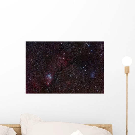 Stars Wall Mural