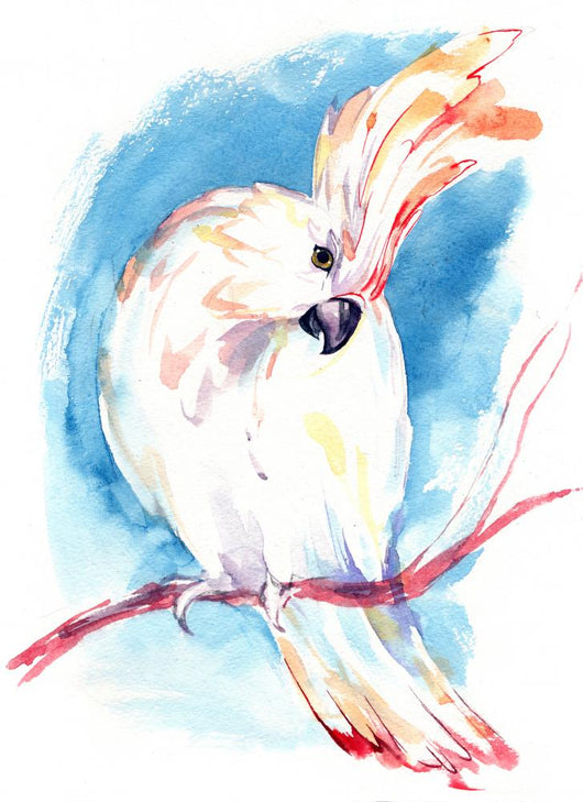 Parrot Wall Decal