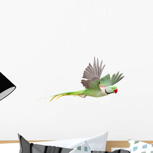 Flying Big Green Ringed