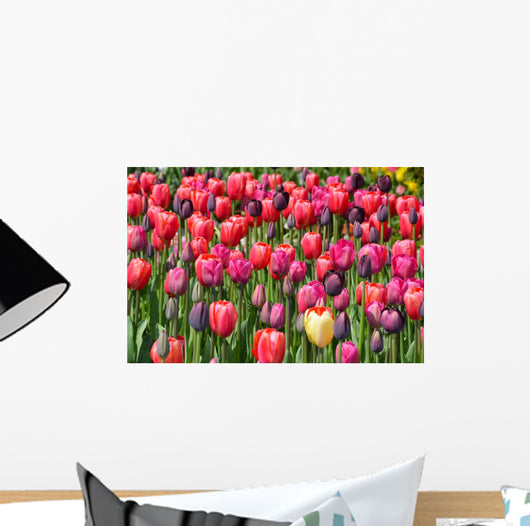 Tulip glory Wall Mural
