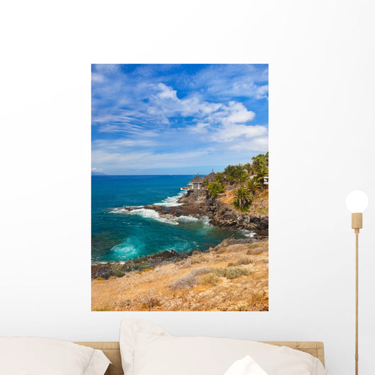 Beach Tenerife Island Canary Wall Mural