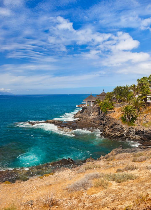 Beach Tenerife Island Canary Wall Mural