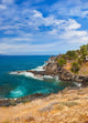 Beach Tenerife Island Canary Wall Mural