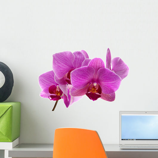 Purple orchid flower Wall Decal