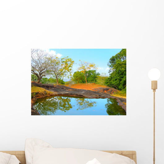 Pond Top Yapahuwa Rock Wall Mural