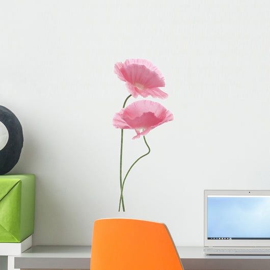pink poppy Wall Decal