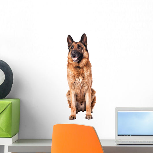 German Shepherd on White Wall Decal