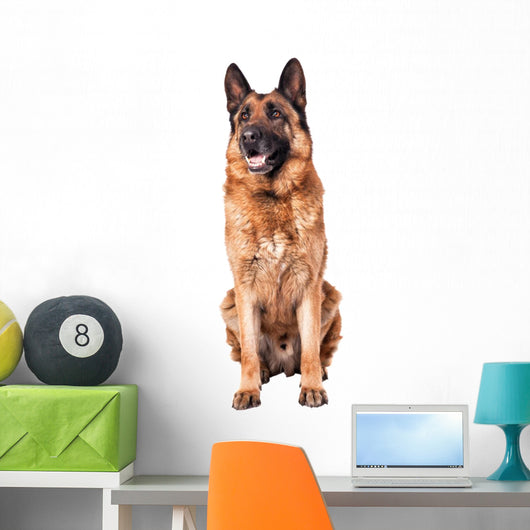 German Shepherd on White Wall Decal