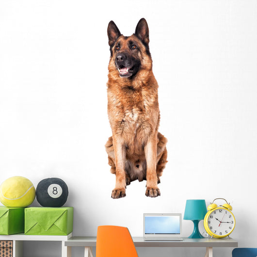 German Shepherd on White Wall Decal