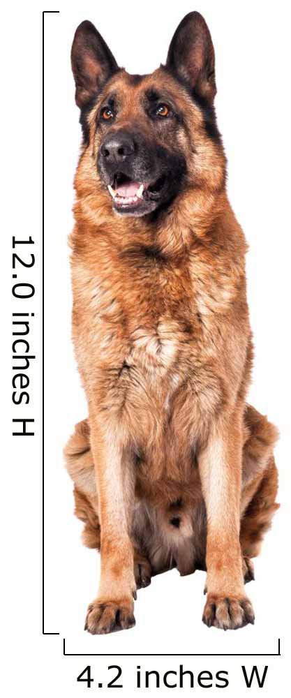 German Shepherd on White Wall Decal