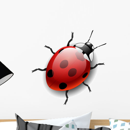 Ladybug