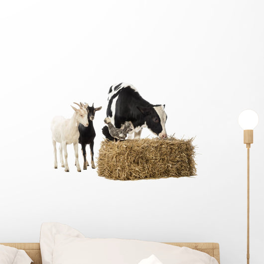 Cow and Two Goats Eating Hay Wall Decal