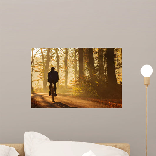 Silhouette Biker Fall