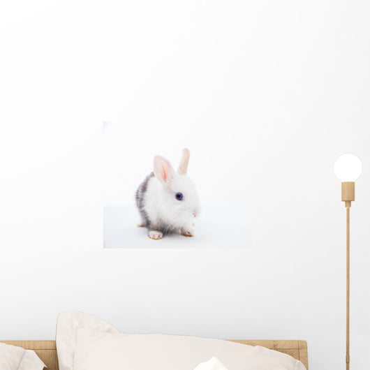 White and Grey Rabbit Wall Decal