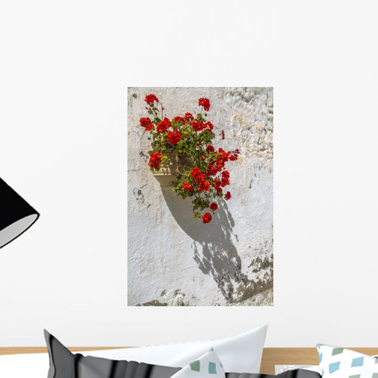Geraniums