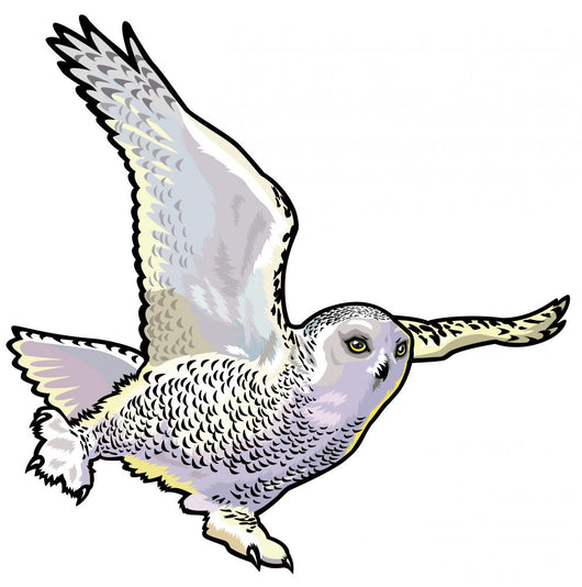 Snowy Owl Wall Decal