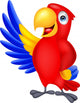 Macaw bid carton waving Wall Decal