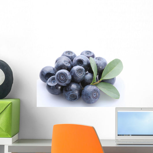 Bilberry Objects White