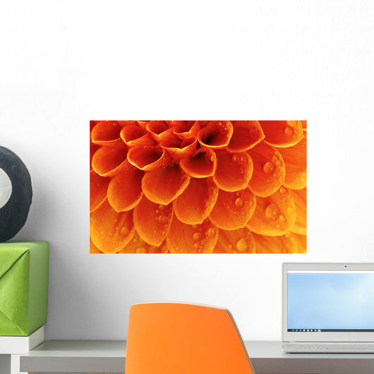 Abstract petals Wall Mural