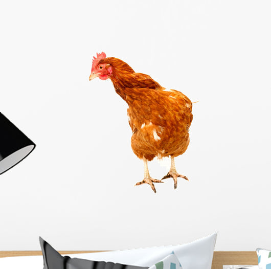Rhode Island Red Chicken Wall Decal