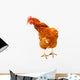 Rhode Island Red Chicken Wall Decal