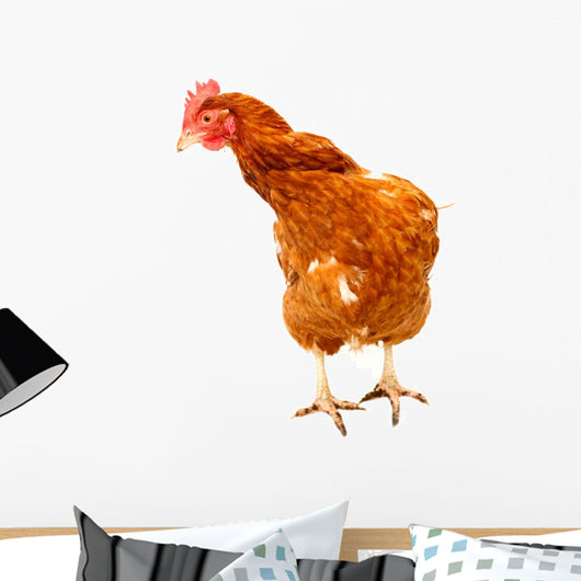 Rhode Island Red Chicken Wall Decal