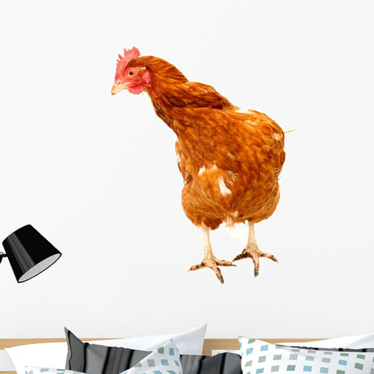 Rhode Island Red Chicken Wall Decal