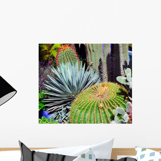 Morocco Marrakech Cactus Wall Mural