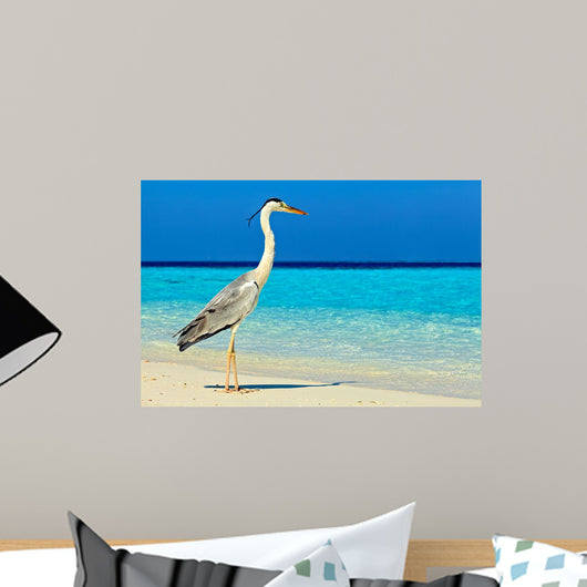 Bird Is Morning Beach Wall Mural