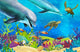 Coral Reef