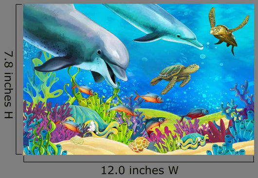 Coral Reef