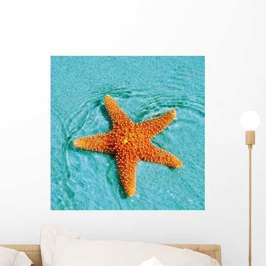 Seastar