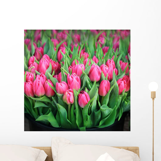 Tulips Wall Mural
