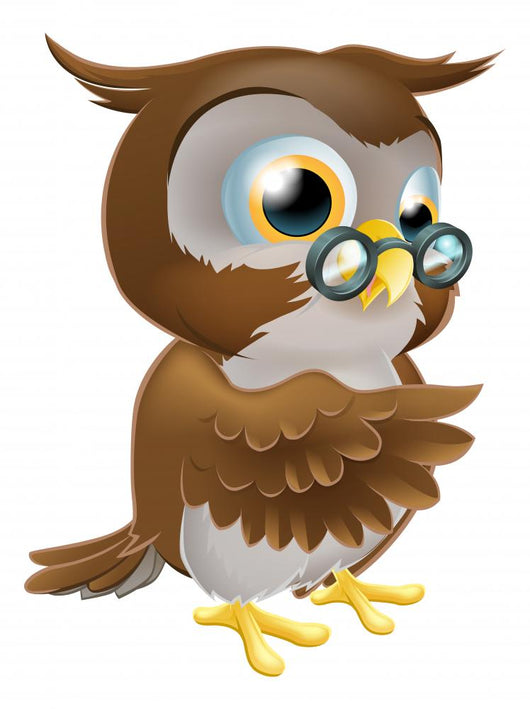Pointing Cute Owl Wall Decal