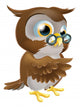 Pointing Cute Owl Wall Decal